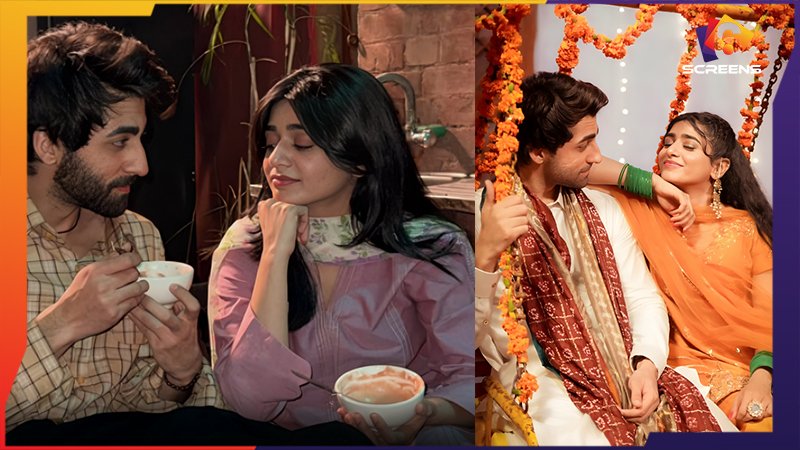 Aik Aur Pakeezah Bids an Emotional Farewell | Last Episode Review and Ending Explained | Six Screens