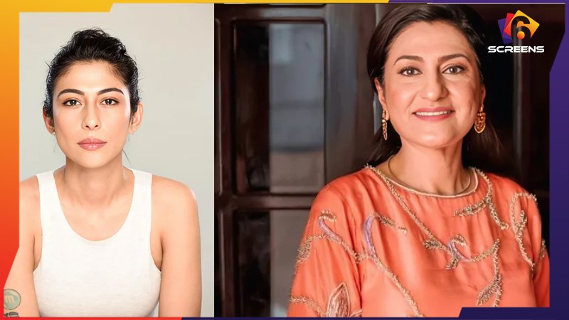 Saba Hameed Breaks Silence on Ali Zafar-Meesha Shafi Case | Six Screens